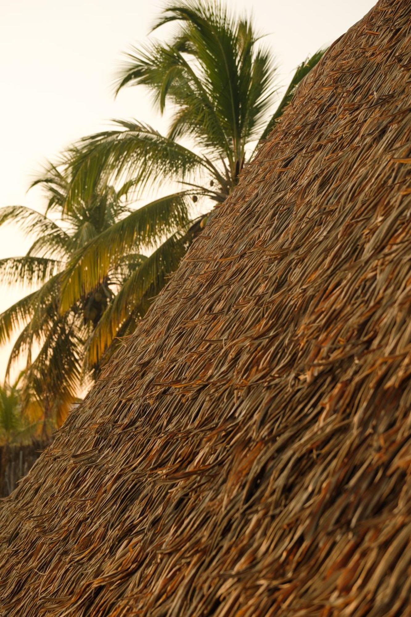 Cabanas Blue Mata de Sao Joao Exterior photo